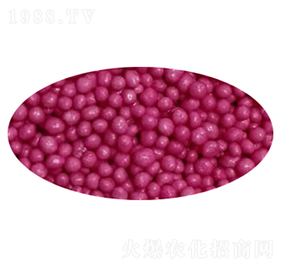 õ�t��֬��������-��ʩ��