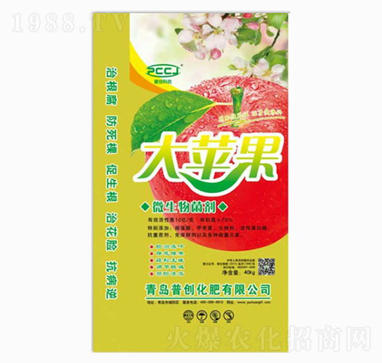 ���O��΢�������-�Մ�(chu��ng)