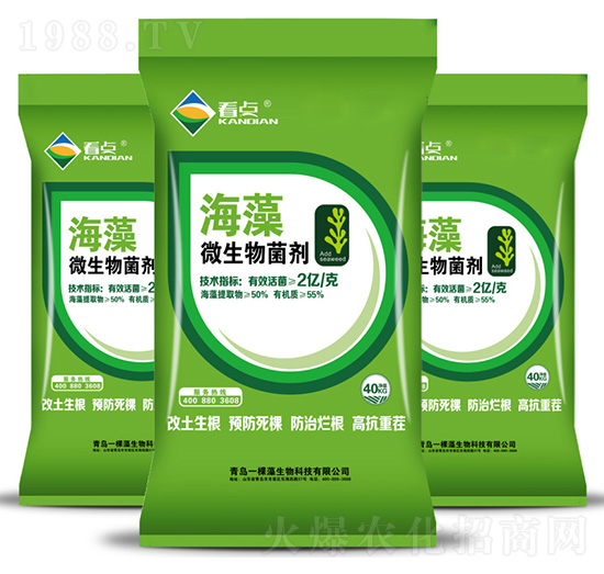 ����΢�������-���c