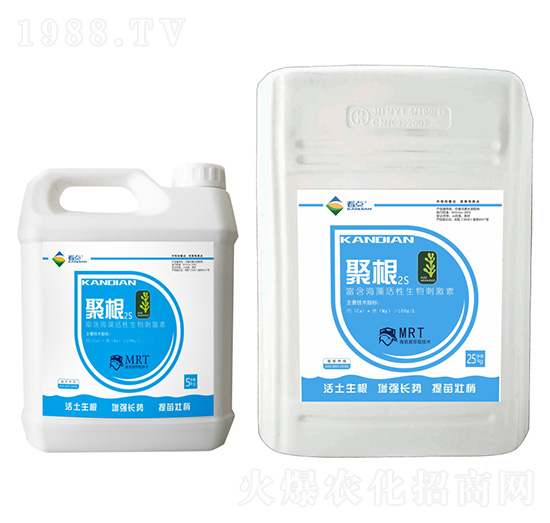 ���������������̼���-�۸�2S-���c(di��n)