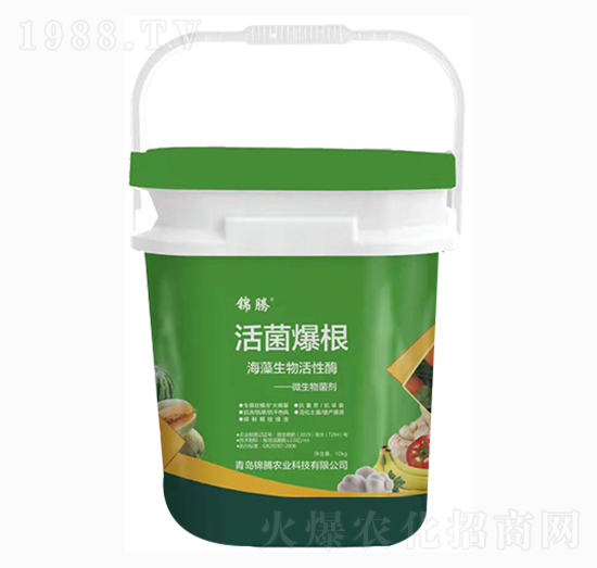 �������-�\�v�r(n��ng)�I(y��)