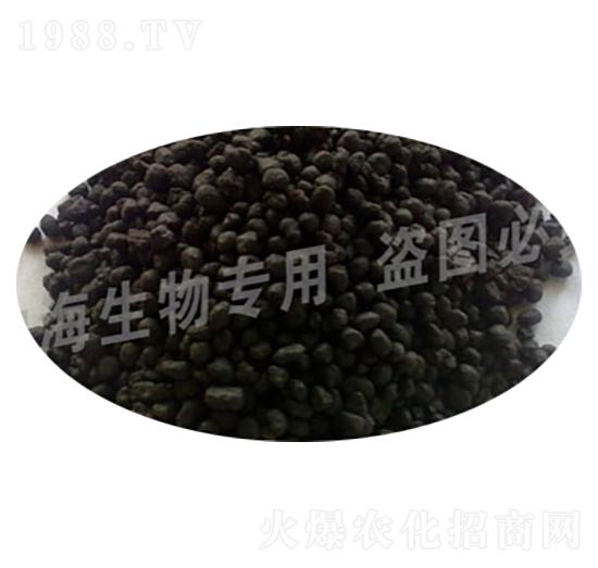 �ЙC���w��-�{������