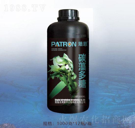 ̼�����-�ٝ��ݰ�