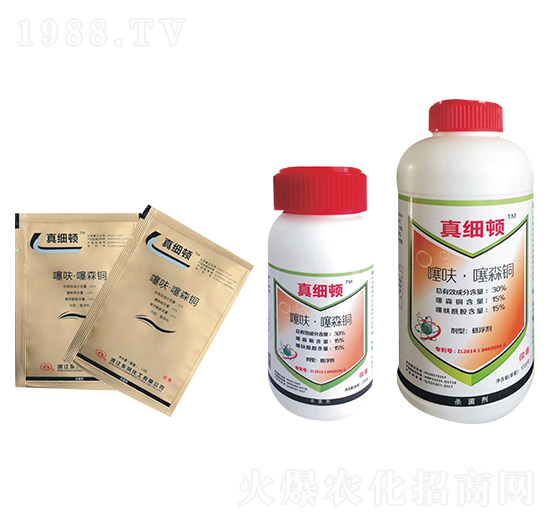 ��߻����ɭ�~-�漚�D-�|�L(f��ng)����