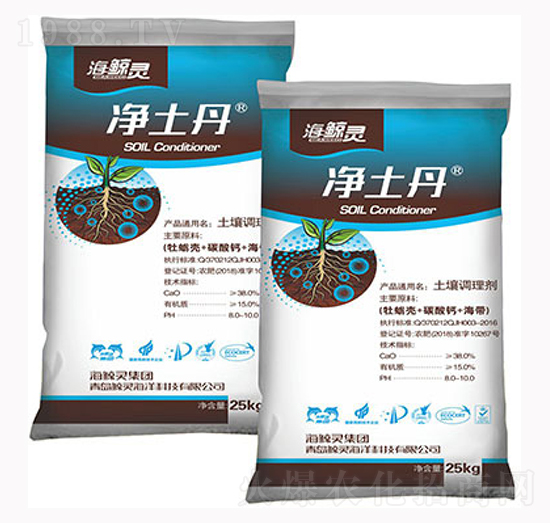 �����{�턩-������-�L�`