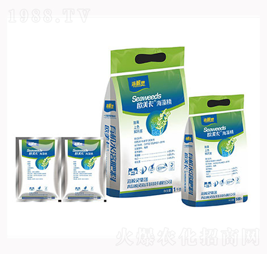 �W�������徫�M��-�L�`