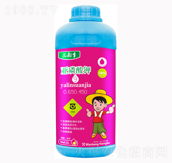 �������0-650-450-������-�f(w��n)���r(n��ng)��