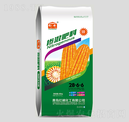 �������28-6-6-�t�׻���