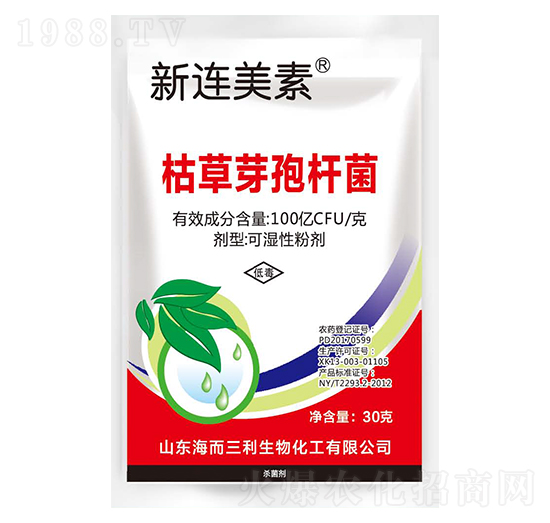 �ݲ�ѿ�ߗU��-���B����-��������