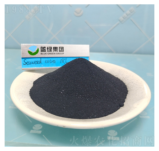 ���徫��-��(��i)��˹����