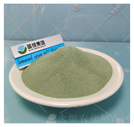 40%�Gɫ���徫-��(��i)��˹����