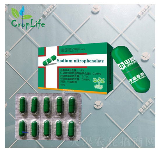 ����1̖(h��o)���z�ң�-��(��i)��˹����