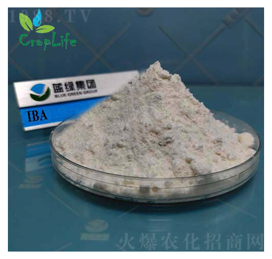 ���ᶡ��-����˹����