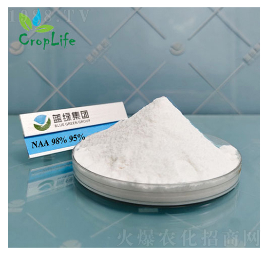 ��������-����˹����