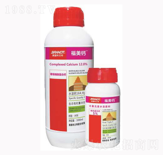 ���B(t��i)�ЙC�����}-�����}-¡�ꠖ