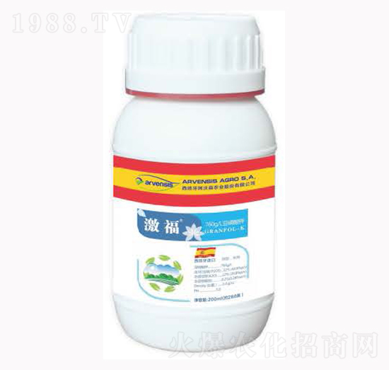 ����-¡�ꠖ