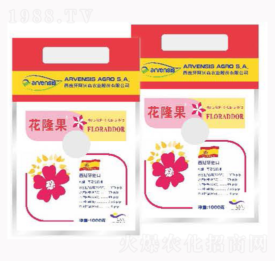 ��¡��-¡�ꠖ