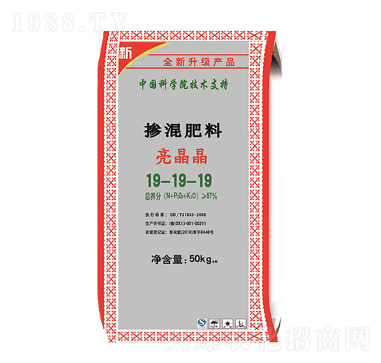 �������19-19-19-������-��M�}(c��ng)