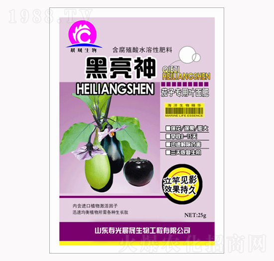 ���ӌ����~���-������-��������