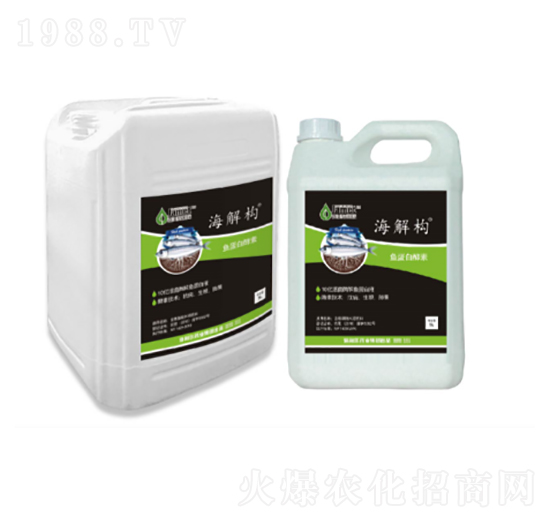 ���☋(g��u)�ߝ�s�~(y��)����-������