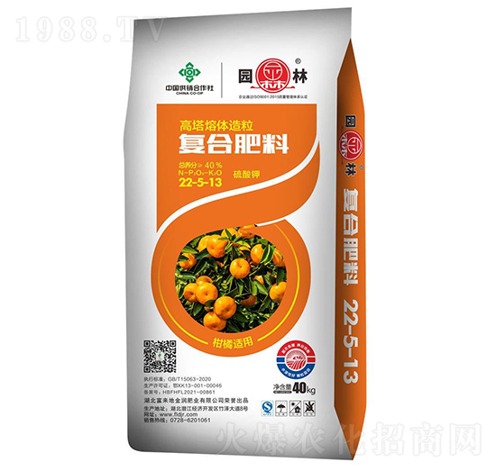 �����m�ÏͺϷ���22-5-13-�@��-������