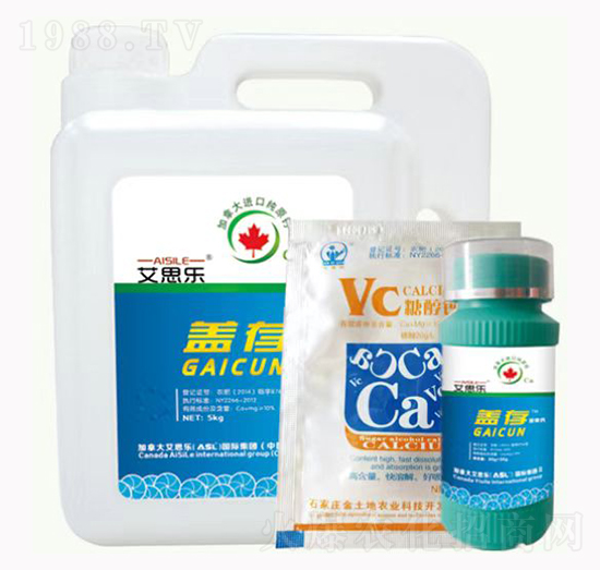 �w���Ǵ��}-��˼��(l��)