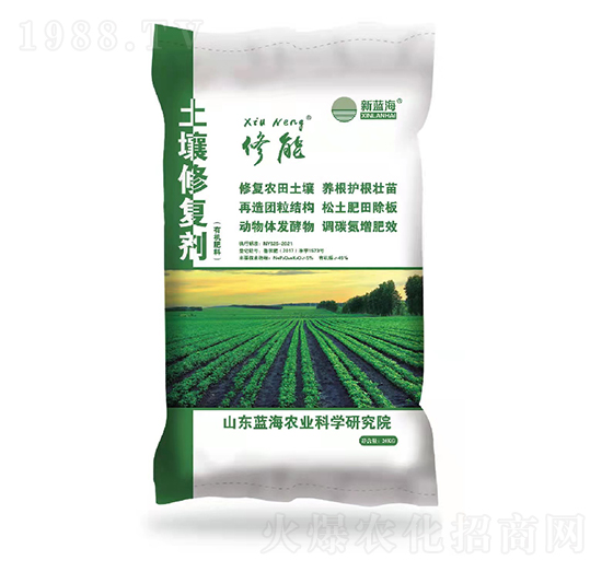 ���������ޏ̈́�-�{��