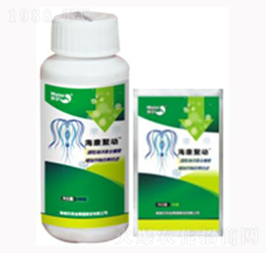 �����ۄ�-������