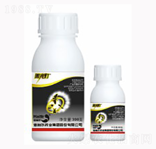 ��ڹ��-������