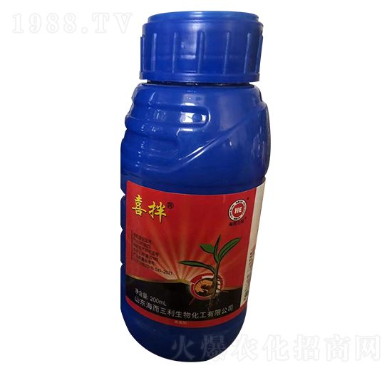 10%���x��-ϲ��-��������