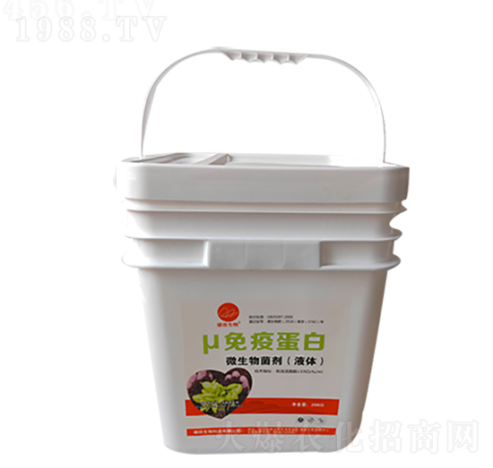 ���ߵ���΢�������-��������