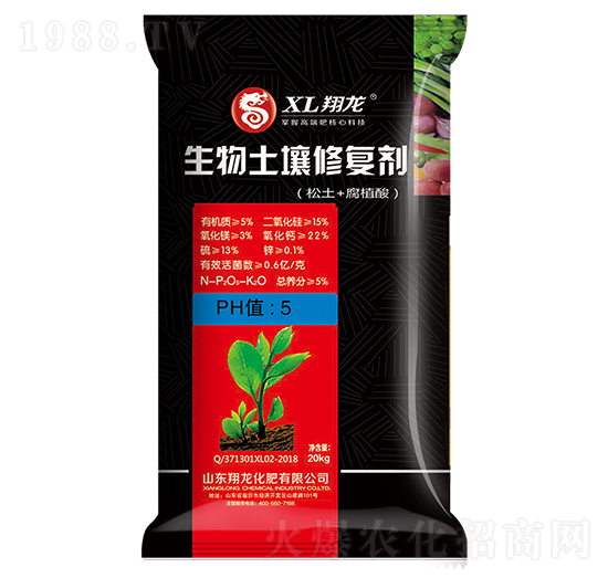 ���������ޏ�(f��)��-����-ʩ���S