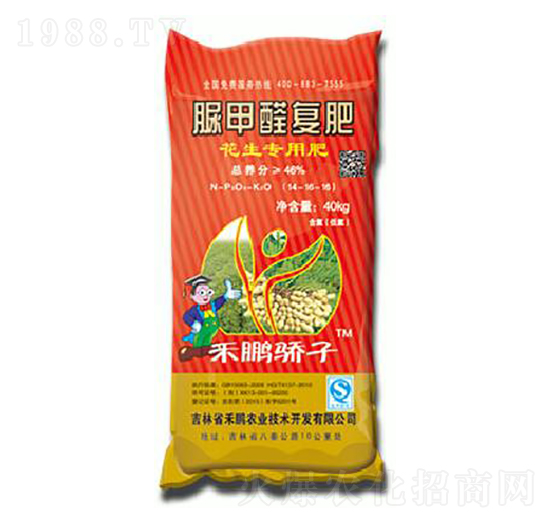 ������(zhu��n)�����ȩ��(f��)��14-16-16-���i���-���i�r(n��ng)�I(y��)