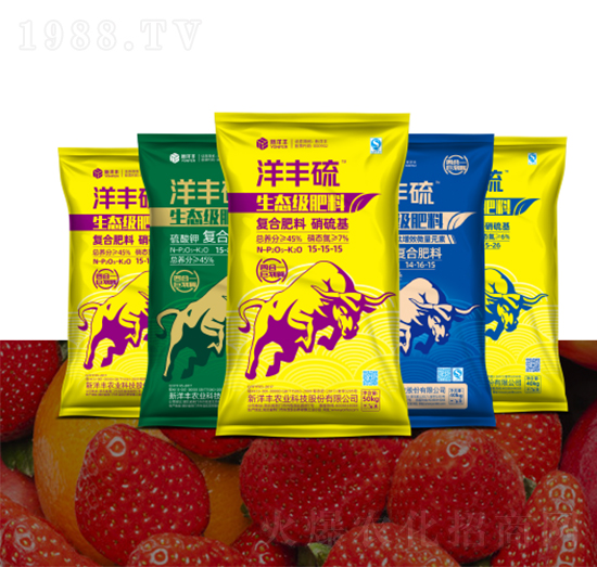 ���S�����B(t��i)��(j��)����-�����S