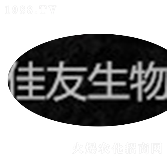 ��ֲ���@-����