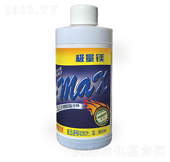 �O���V-������