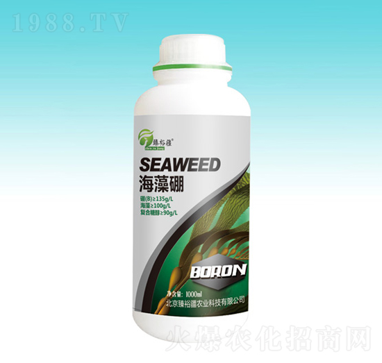 ������-��ԣ��