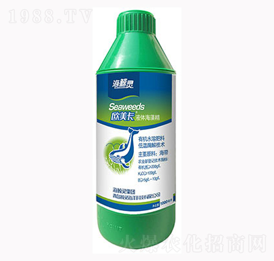 ���徫-�W����-���L�`