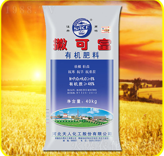 �ЙC����-���ɸ�-���˻���