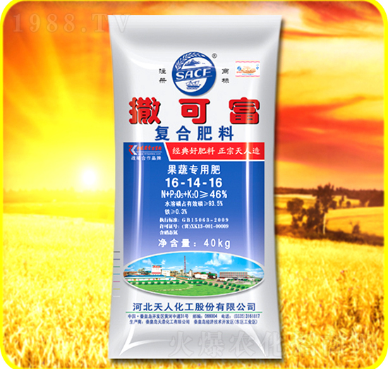 �ͺϷ���16-14-16-���ɸ�-���˻���