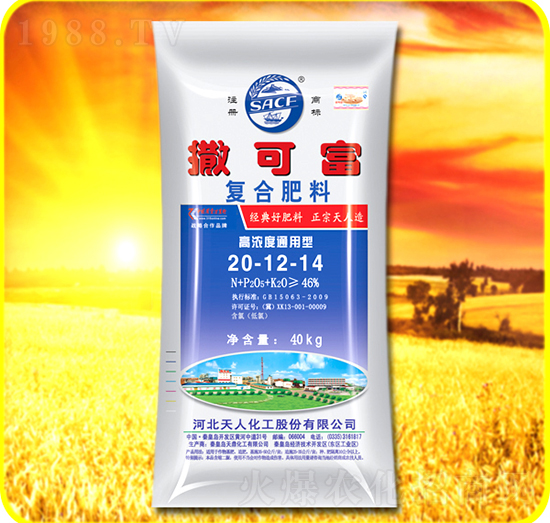 �ͺϷ���20-12-14-���ɸ�-���˻���