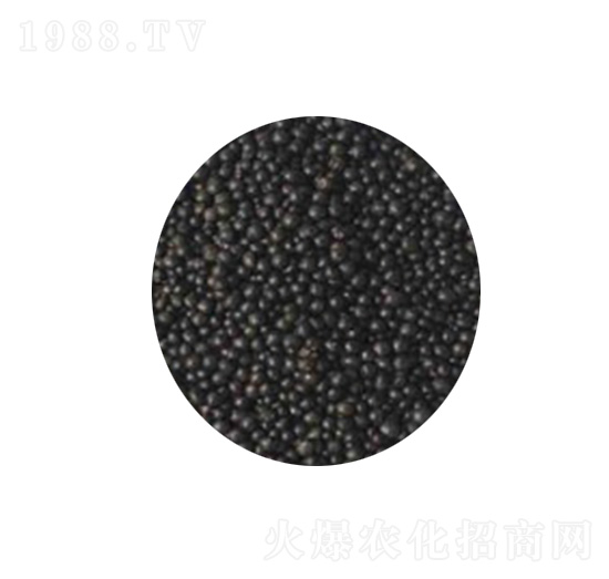 �����ЙC(j��)���w��-�d��