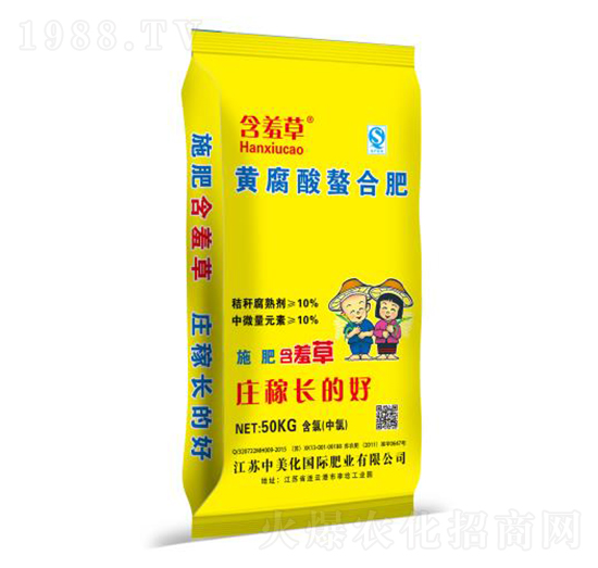 �S�������Ϸ�-���߲�-������