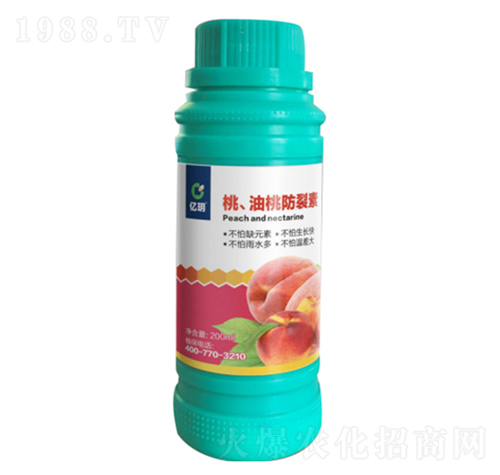 �������ҷ�����-�R������