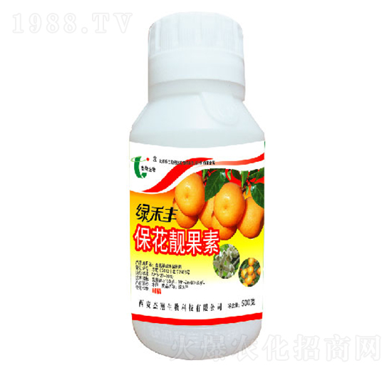 �����n����-�G���S-��������