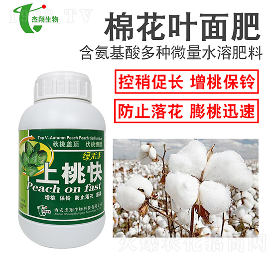 �޻��~���-���ҿ�-��������