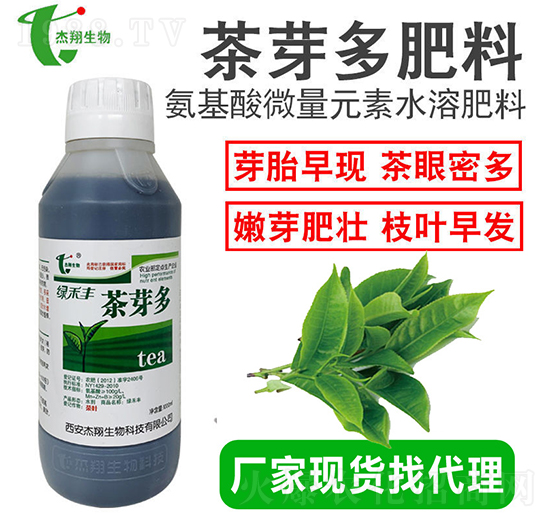 ���~�~���-��ѿ��-��������