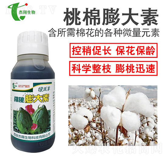 ���������-��������