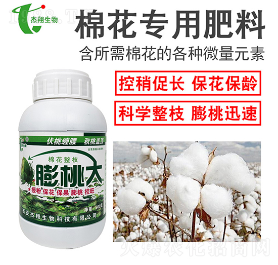 �޻����÷���-���Ҵ�-��������