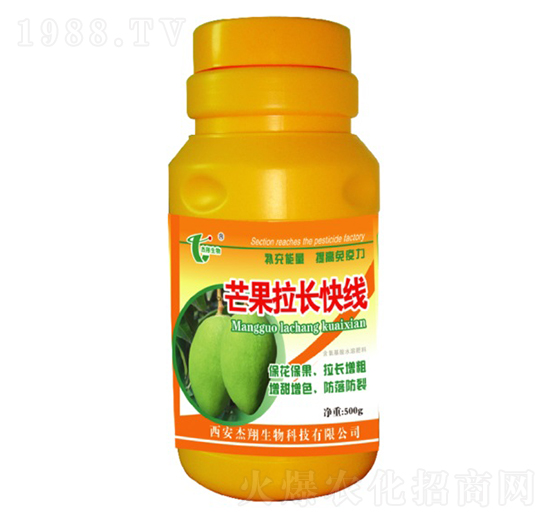 â�����L(zh��ng)�쾀-��������